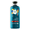 Repair Argan Oil Of Morocco Shampoo