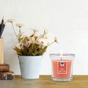 Buy Iris Musk Elixir Taper Jar Candle Online in India