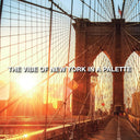  Shimmery and Metallic Finish - Brooklyn Orange (6.1gm) Online in India