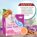 Nature's Essence Bridal Kit Glow Facial (180gm + 40ml)