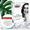 Nature's Essence Ravishing Diamond Almond and Honey Facial Kit Mini (52gm+65ml)