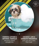 Wahl No Rinse Oatmeal Dog Shampoo – 210 ml | Gentle Cleansing & Moisturizing Shampoo with Oatmeal