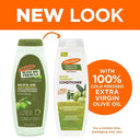  Shop Palmer's Olive Oil Formula Shine Therapy Conditioner (400ml) Online in India Chennai Tamil Nadu / Review