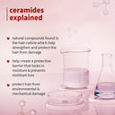  Free Shipping Available.