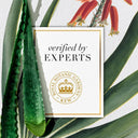 Herbal Essences Bio:Potent Aloe & Bamboo Conditioner, Sulphates, Silicones, and Paraben Free (400ml)
