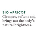 Shop Biotique Apricot Refreshing Body Wash 100% Soap Free Online in India Chennai Tamil Nadu / Review