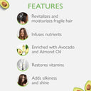 Shop Godrej Professional Probio Avocado Nourish Mask (200gm) Online in India Chennai Tamil Nadu / Review