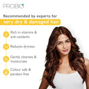 Buy Godrej Professional Probio Honey Moisture Shampoo (250ml) Online in India