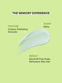 Shop Quench Dandruff Control Scalp Scrub with Tea Tree Extracts (200ml) Online in India Chennai Tamil Nadu / Review