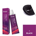 Raaga Professional Pro 10 Express Permanent Hair Color (1 Black)