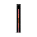 Renee Cosmetics FAB5 5 in 1 Nude Lipstick (7.5gm)