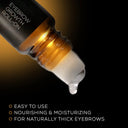 Buy Renee Cosmetics Eyebrow Growth Roll-On (8ml) Online in India