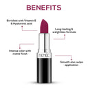 Renee Cosmetics Stunner Matte Lipstick (4gm)