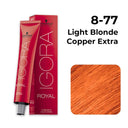 Buy Schwarzkopf Professional Igora Royal Permanent Color Creme (8-77 Light Blonde Copper Extra) Online in India
