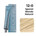 Schwarzkopf Professional IGORA Royal Fashion Lights Permanent Highlight Color Creme (12-0 Special Blonde Natural)