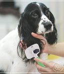 Wahl Self-Cleaning Slicker Brush – Large | Pet Combs & Brushes