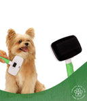 Wahl Self-Cleaning Slicker Brush – Small | Pet Combs & Brushes