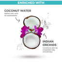 Check out St. Ives Hydrating Coconut & Orchid Body Wash (650ml) reviews