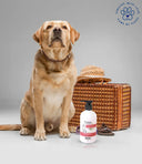 Wahl Puppy Shampoo 300 ml | Gentle pH-Balanced No-Tear Formula with Cornflower & Aloe, Safe for Puppies’ Sensitive Skin