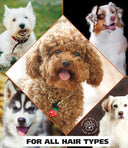 Wahl Oatmeal Shampoo for Dogs – 709 ml | Soothes and Moisturizes with Coconut, Lime & Verbena