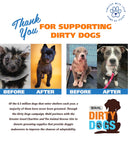 Wahl Oatmeal Shampoo for Dogs – 709 ml | Soothes and Moisturizes with Coconut, Lime & Verbena