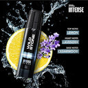 Shop Wild Stone Intense Black No Gas Deodorant for Men (120ml) Online in India Chennai Tamil Nadu / Review