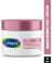 Cetaphil Bright Healthy Radiance Brightening Day Protection Face Cream SPF 15 (50gm)
